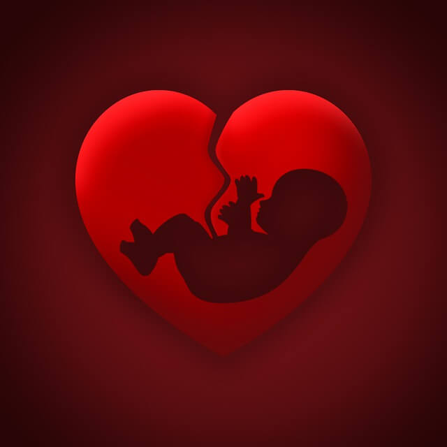 amor bebés madres vida embarazo