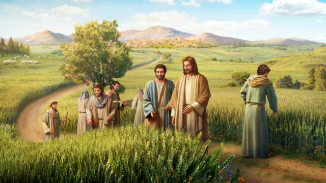 Jesús discípulos. Evangelio de hoy. Evangelio del día. Lecturas del día.