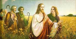 Espigas en sábado. Evangelio del día. Evangelio de hoy. Lecturas del día de hoy.