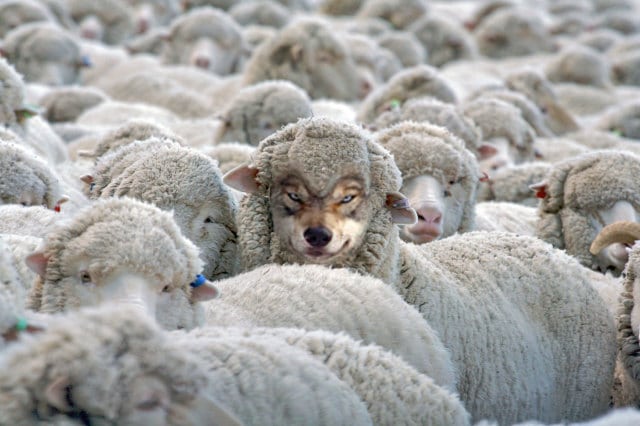 evangelio del día frutos buenos